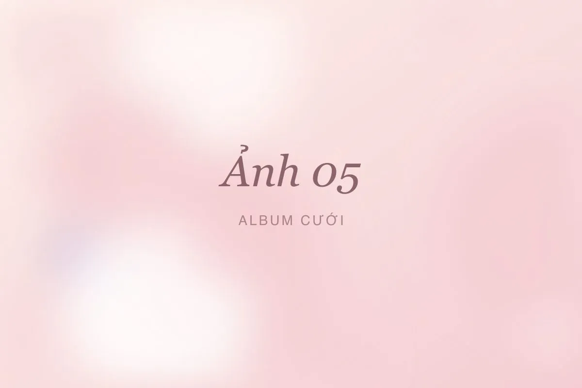 Ảnh cưới 5