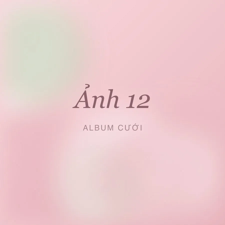 Ảnh cưới 12