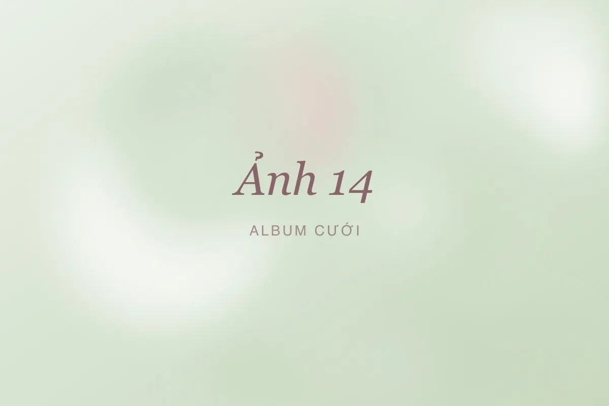 Ảnh cưới 14